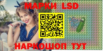 гашик Моздок
