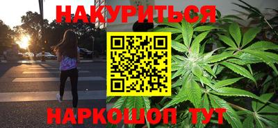 гашик Моздок