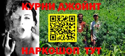 гашик Моздок