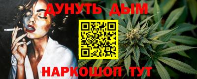 дживик Можга