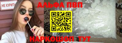 гашик Моздок