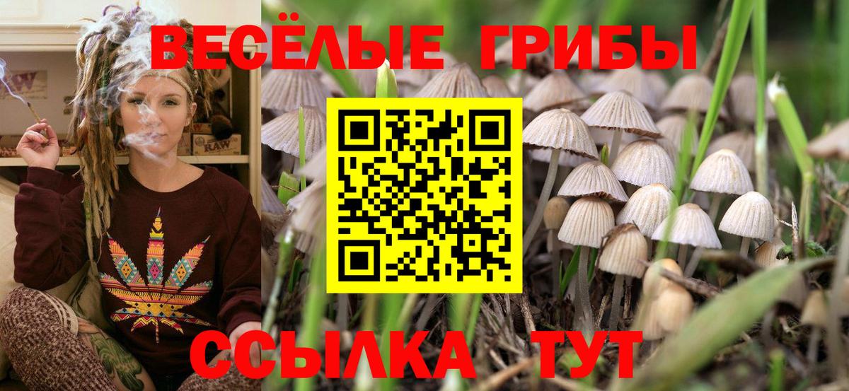 цена наркотик  Вход с VPN  Псилоцибиновые грибы Psilocybine cubensis  Старая Купавна  Псилоцибиновые грибы Psilocybine cubensis 