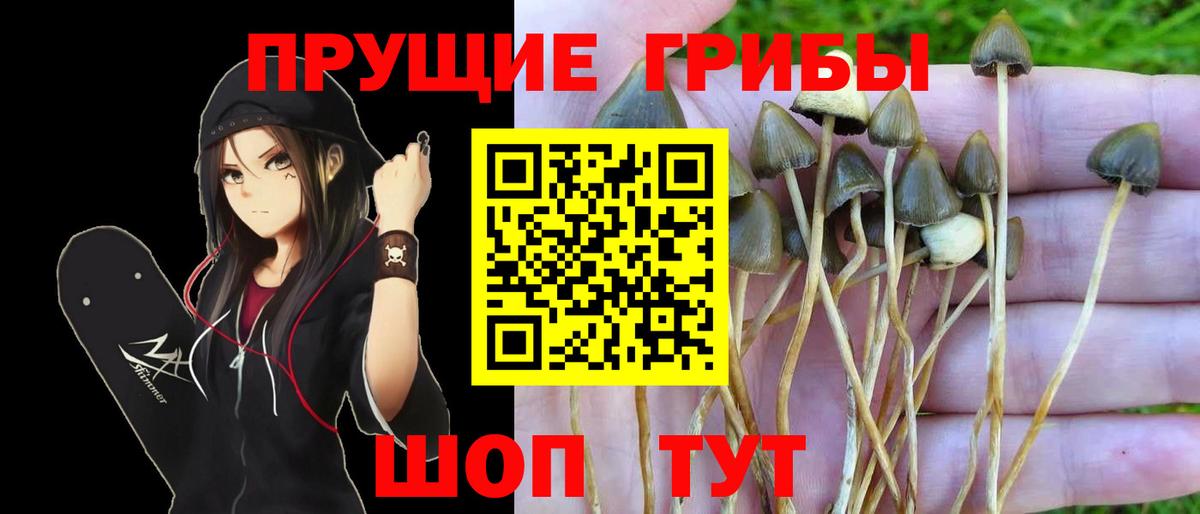 Галлюциногенные грибы мицелий Старая Купавна