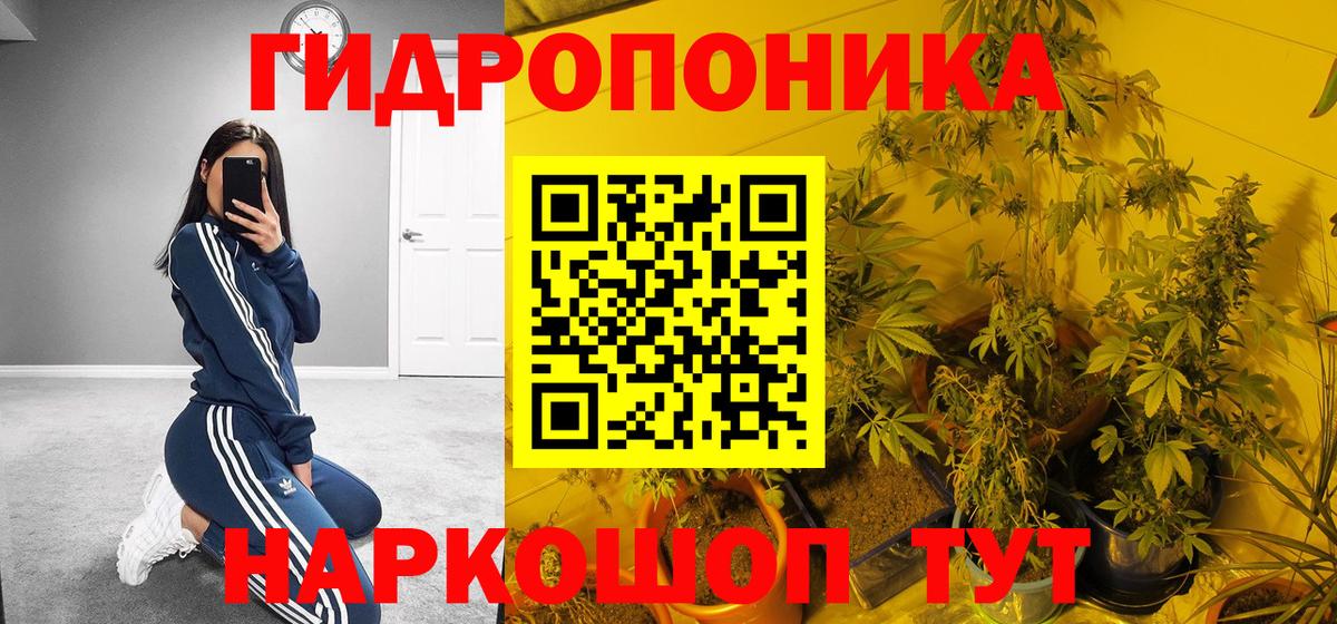 Марихуана тримм  Вход с VPN  Каннабис планчик  МАРИХУАНА гибрид  Старая Купавна  Бошки Шишки SATIVA & INDICA 